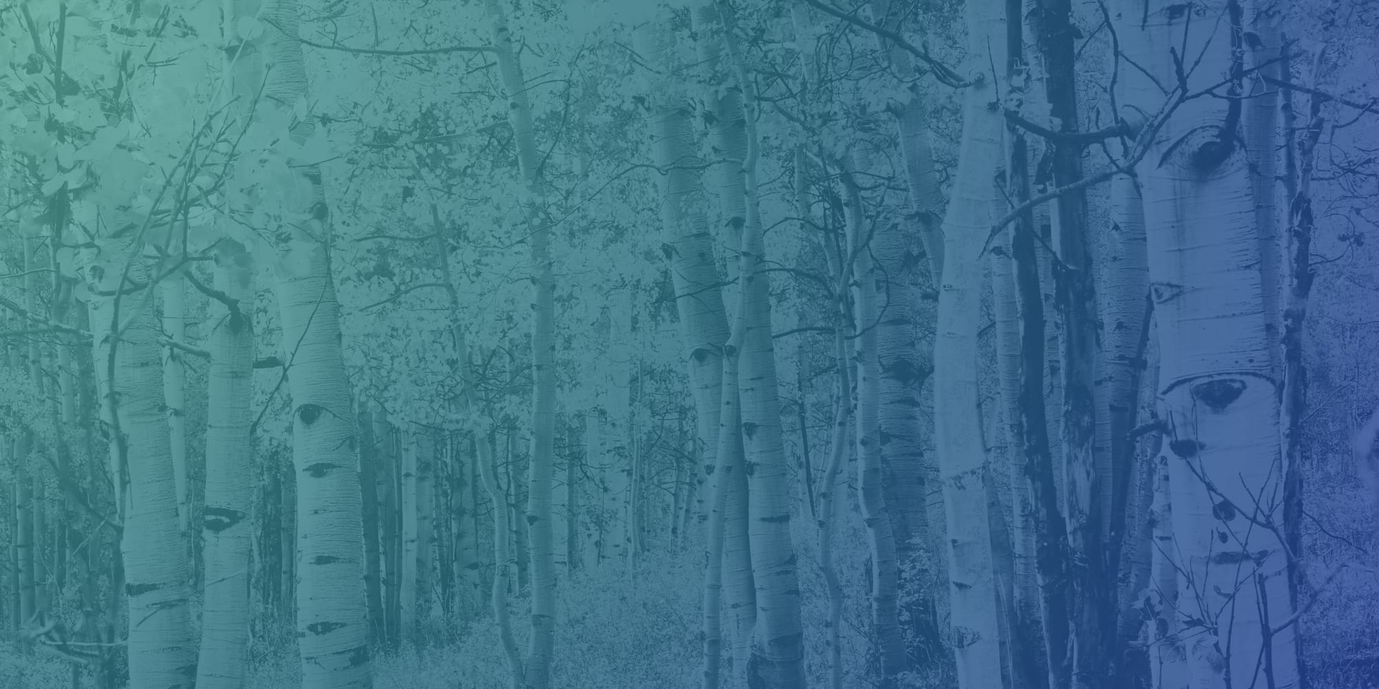 aspen